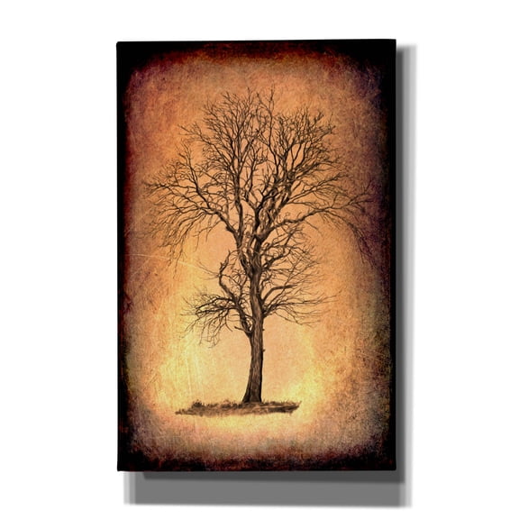 Epic Graffiti 'For the Love of Trees II' by Lightbox Journal, Canvas Wall Art, 26"x40"