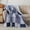Blue/White, variant on SLPR American Style Lightweight Flannel Blanket - Patriotic Stars & Stripes & Plaid Design, All-Season Soft Anti-Pilling Bedspread, Blue & White Contemporary Home Decor, Dual-Use Sofa Bed Throw with