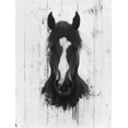 thumbnail image 1 of Qisvanset 12x16 Inch 2D Flat Framed Canvas Art, Black White Horse Ink Sketch Rustic Western Farmhouse Wall Decor, 1 of 5