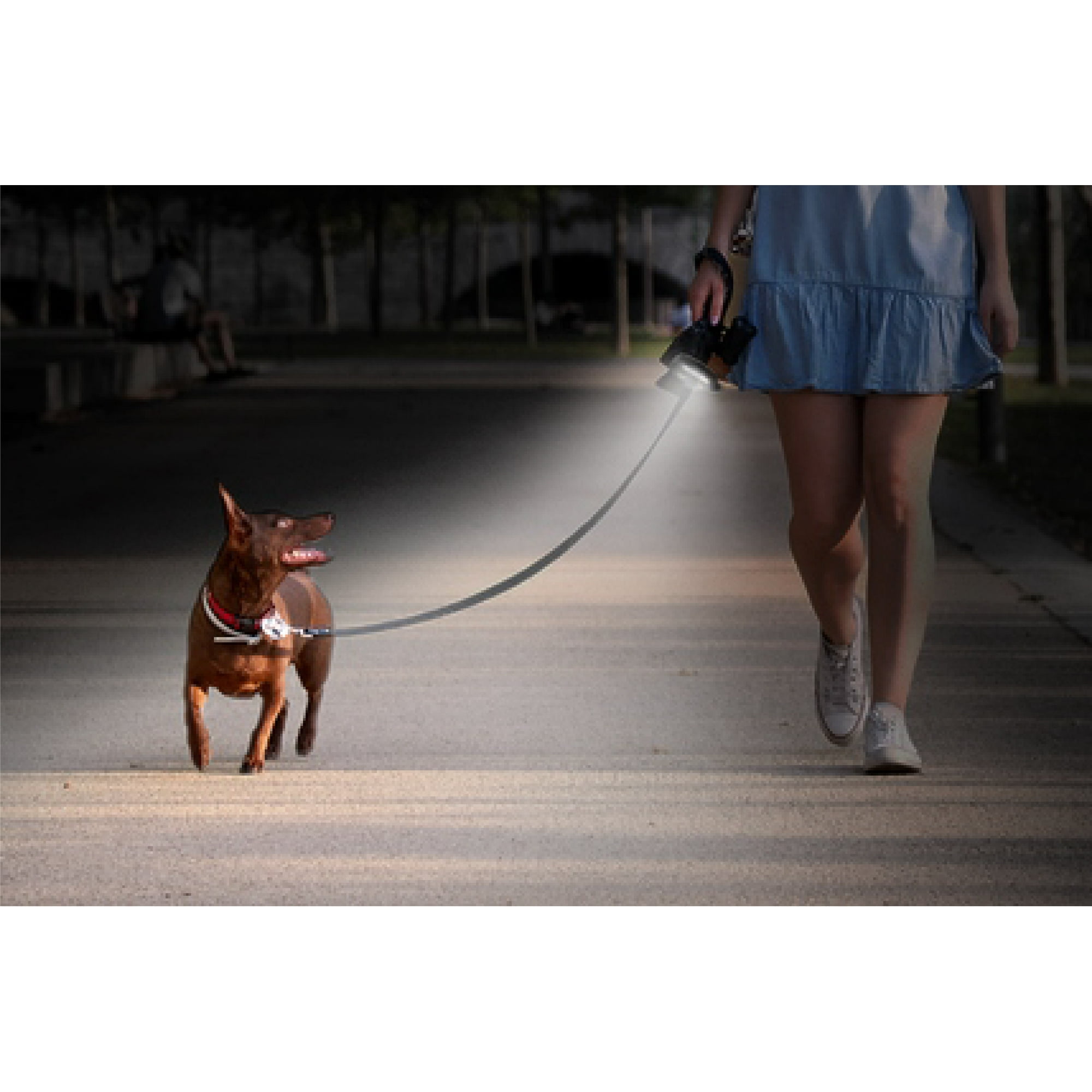 Lightvise Universal Super Bright LED Clamp On Leash Collar Harness Flashlight