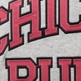 thumbnail image 3 of Men's Mitchell & Ness Scottie Pippen Heathered Gray Chicago Bulls Big & Tall Name & Number Pullover Hoodie, 3 of 4