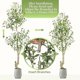 thumbnail image 4 of 6ft (1 piece) de altura faux olive tree con blanca planter y green fake moss para home oficina sala de estar dormitorio stairs y foyer decor, 4 of 5