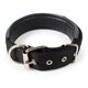 thumbnail image 1 of Collar de perro resistente con asa para perros medianos y grandes - Collar con costuras reflectantes, MFZFUKR CPB-US-YY62-10, 1 of 5
