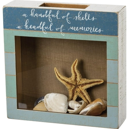 Primitives by Kathy Seashell Holder - Coastal Decor, Glass Display, Treasure Chest, Room and Bedroom Decor