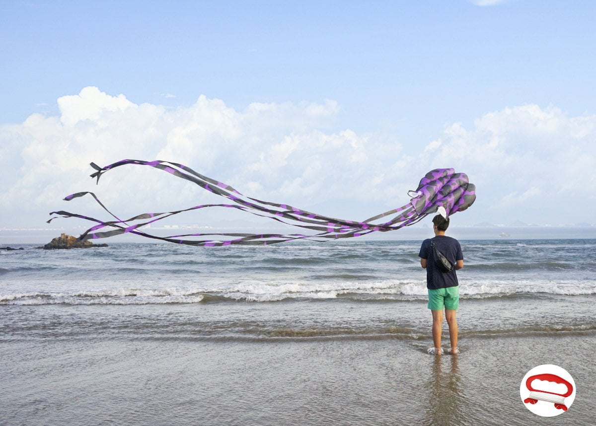 158inch Soft Ware Octopus Kites with Colorful Ribbon and Kite Board 3 Colors Suitable for Kids and Audlt to Beach Park Outdoor Fun with Handle /& Line 30M 3 Pack Kites