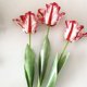 thumbnail image 3 of Xiao Hua 3 flores artificiales de tulipán loro 3D, vívidas y decorativas, tacto real, para el hogar, simulación de flores artificiales amarillas., 3 of 5