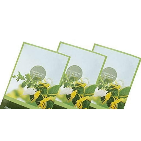 FloralSimplicity Honeysuckle Scented Sachets Pack of 3