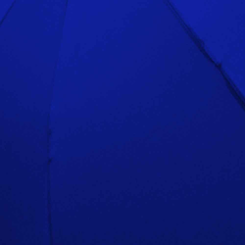 The Weather Station Children's Stick Umbrella with Curved Handle
