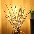thumbnail image 2 of Branch Lights, 30 Inch 20 Led Willow Branch Lighted Branch Diy Tree Willow Branches Lamp Battery Operated Branches (Warm White), 2 of 5