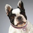 thumbnail image 3 of Rhinestones Collar Crystal Cute Dogelastic Adjustable Necklaces For Pets Kitten Puppy, 3 of 5