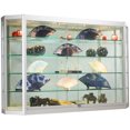 thumbnail image 1 of Wall-Mounted Silver Aluminum Glass Display Cabinet, Illuminated, Angled Front, Illuminated, Locking Sliding Doors, Ships Fully Assembled (WC603912SV), 1 of 1
