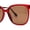 Red Burgundy Brown, variant on Womens Masculine Elegant Oversize Thin Plastic Chic Sunglasses Tortoise Brown
