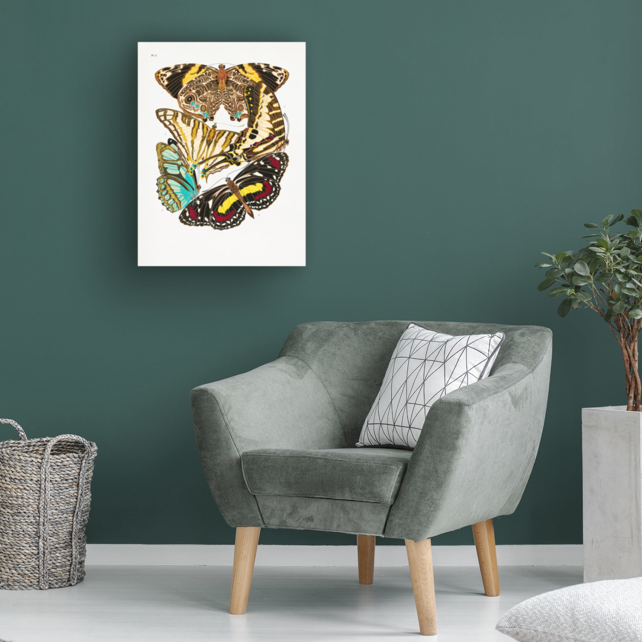 Trademark Fine Art Pictufy Butterflies 10 Canvas Wall Art