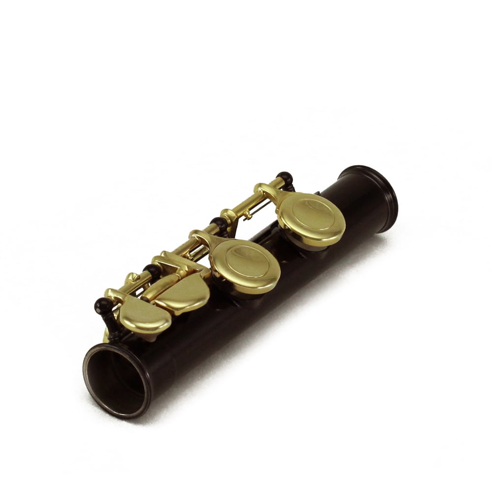 Sky C Flute with Lightweight Case, Cleaning Rod, Cloth, Joint Grease and Screw Driver - Black/Gold Closed Hole