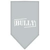 Bully Screen Print Bandana Grey Small