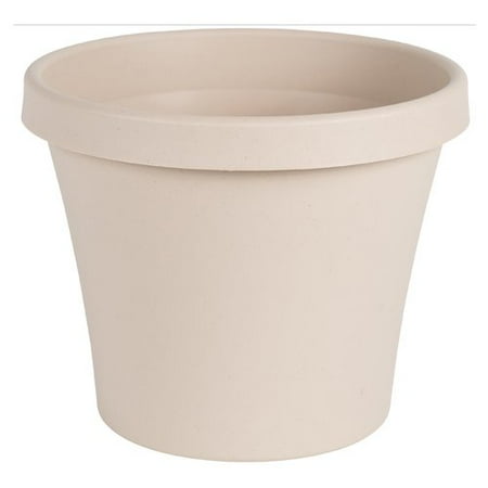 - Charlton Home Felker Plastic/Resin Pot Planter