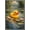 Barnwood Framed Version, variant on Rubber Duck - River Lilies Wall Poster, 22.375" x 34"