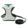 thumbnail image 2 of SPRING PARK Small Pet Vest Harness Leash Set Walk Outdoor Dog Puppy Cat Soft Mesh Breathable Convenient Dual Use, 2 of 7
