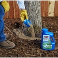 Bioadvanced 4 lb tree and shrub protect feed ii insect killer and