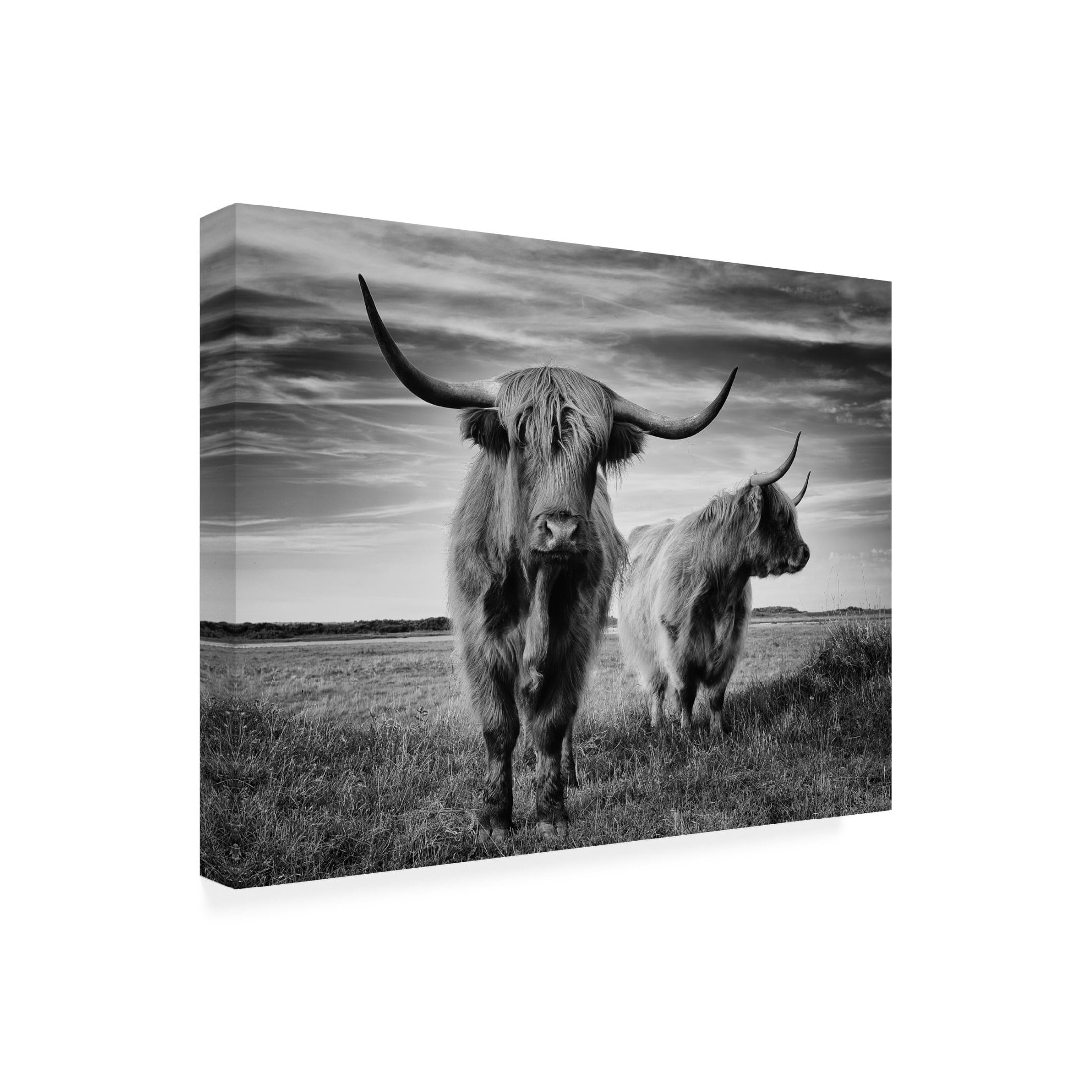 Trademark Fine Art Stephane Pecqueux I Am The Boss Canvas Wall Art