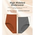 thumbnail image 3 of Womens Underwear Seamless Full Coverage Breathable Briefs No Show Silky Stretch High Waisted Ladies Panties 6 Pack, 3 of 7