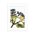 thumbnail image 1 of Picture White Simpol Nature Desktop Photo Frame Picture Display Decoration Art Painting, 1 of 3