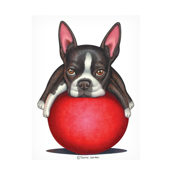 Danny Gordon Art 'Boston Terrier on Red Ball' Canvas Art