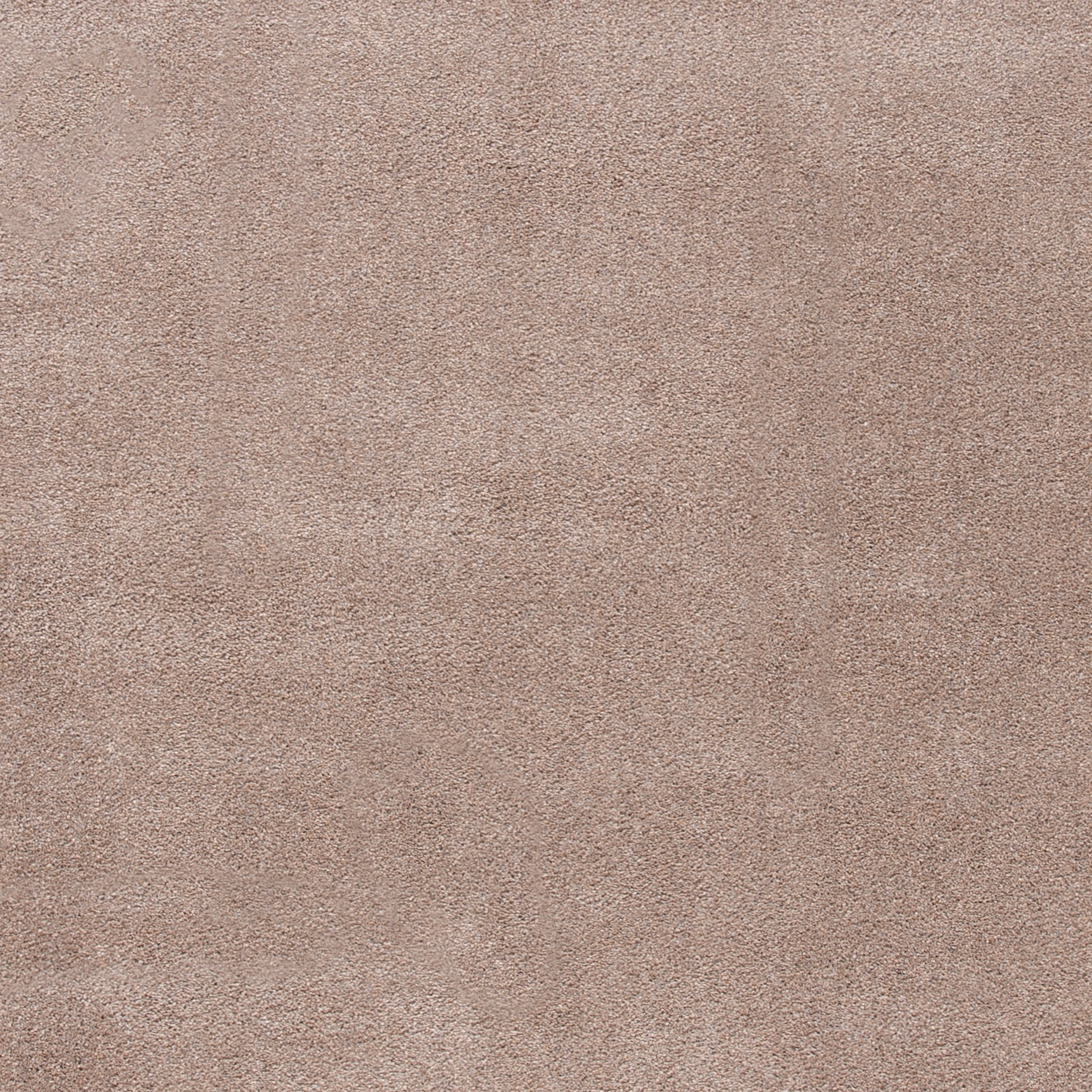 SAFAVIEH Plain and Solid Carleen Solid Plush Area Rug, Taupe, 9' x 12'