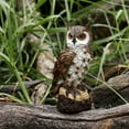 thumbnail image 4 of Gardening Resin Crafts, Owls, Rats and Birds, Garden Decorations, 4 of 9