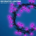 thumbnail image 2 of Luxrite C7 LED Purple Replacement Light Bulbs for String Lights 0.5W Colored Bulb Enclosed Fixture Rated UL E12 Indoor Outdoor 6 Pack, 2 of 7