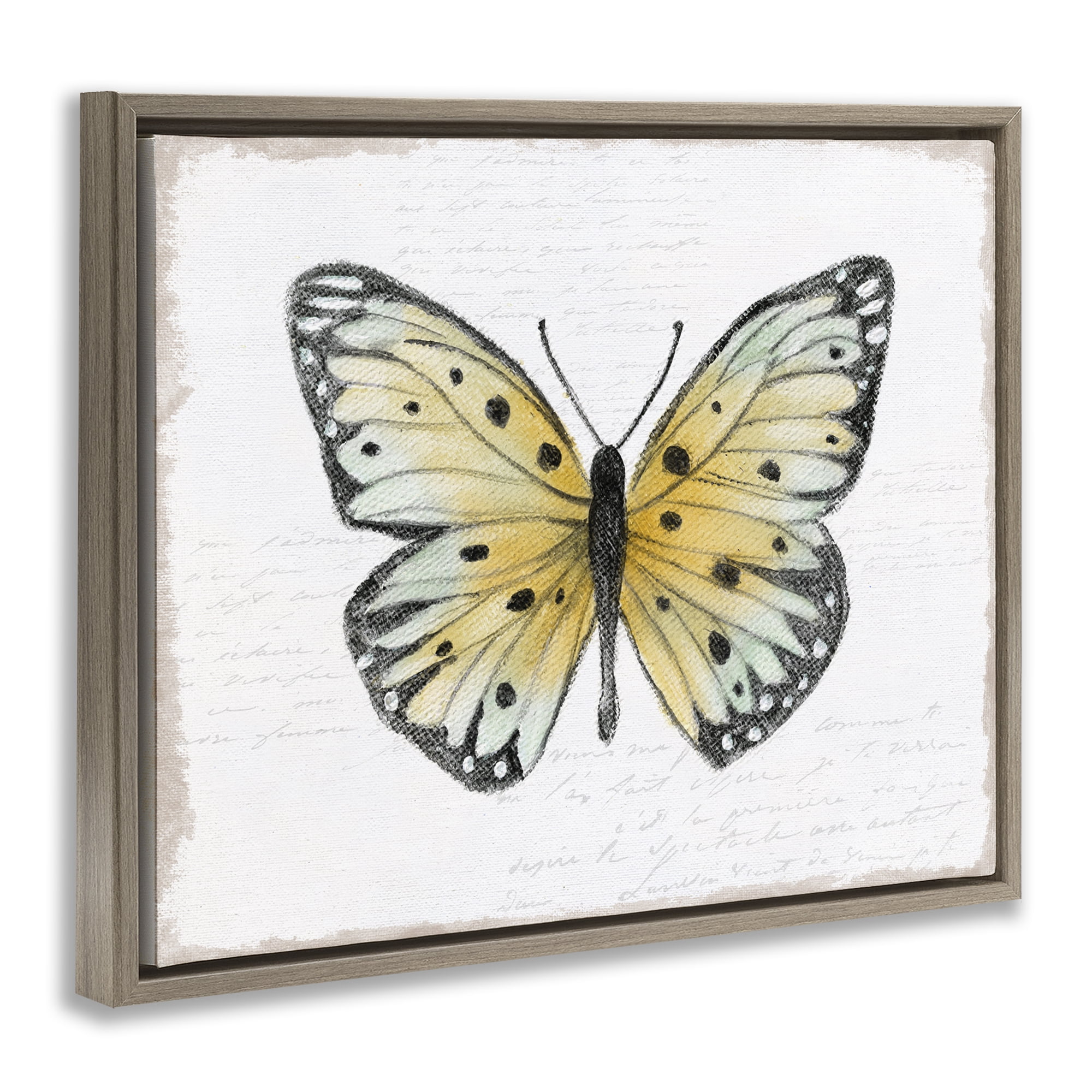Stupell Industries Beautiful Butterfly on White Animals Painting Brown Floater Framed Canvas Art Print Wall Art, 21 x 17