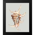 thumbnail image 2 of Willett, Michael 20x24 Black Modern Framed Museum Art Print Titled - Spider Conch, 2 of 5