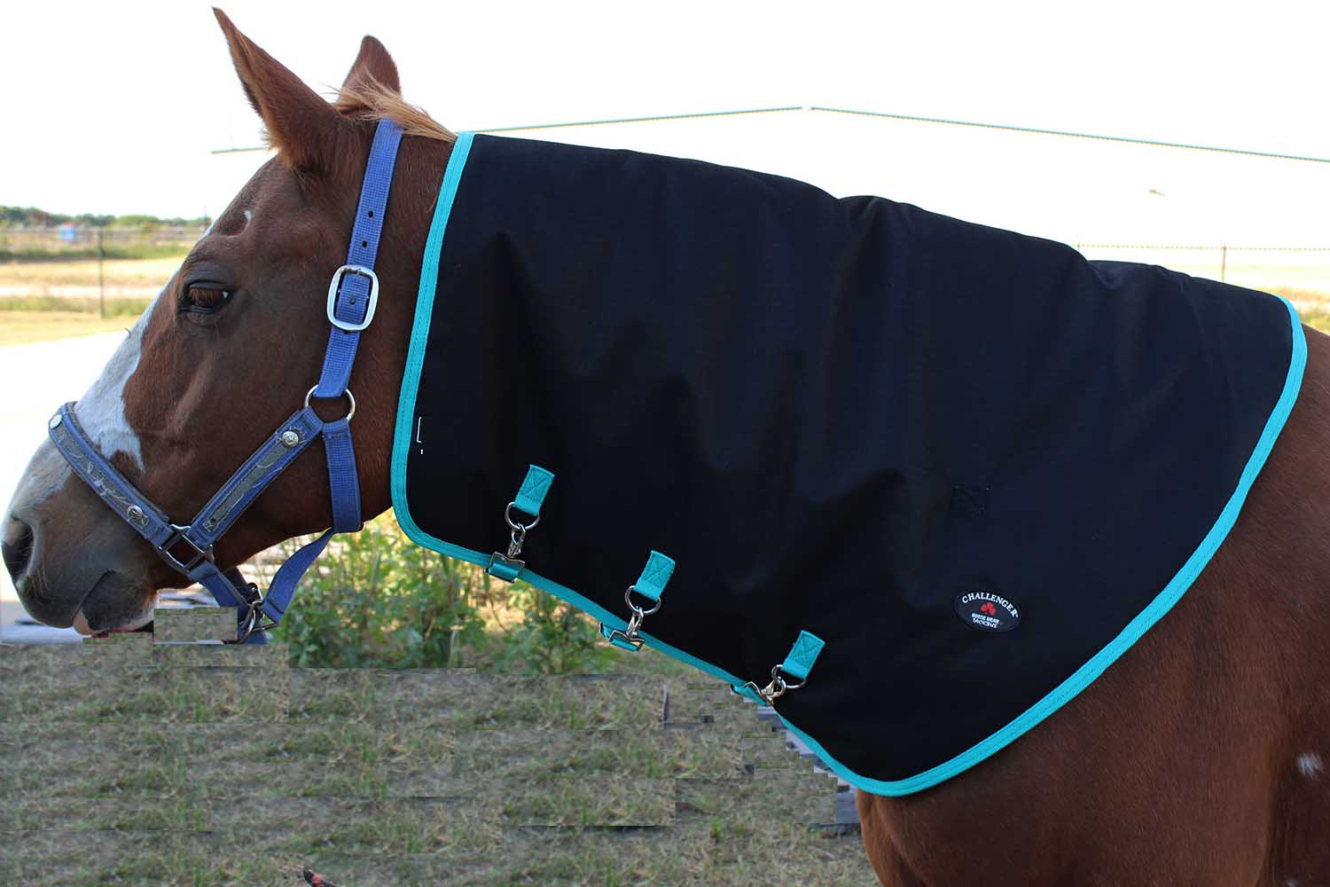 Challenger 78 1200d Horse Turnout Waterproof Heavy Weight Winter Blanket 5ee09g Pet Supplies Horse Blankets Sheets Malibukohsamuicom