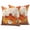 Light pink, variant on Pink Orange Hydrangea Outdoor Pillow Covers 20"x20" Set of 2,Waterproof Throw Pillow Covers for Patio Furniture,Spring Vintage Botanical Flowers Decorative Cushion Pillowcases for Garden Couch Sofa