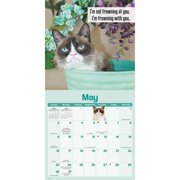 Grumpy Cat 2027 Mini Wall Calendar, (Paperback)