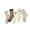Brown, variant on WREESH 5 Pairs Girls Socks Kids Toddler Big Little Girls Fashion Cotton Crew Cute Socks Brown