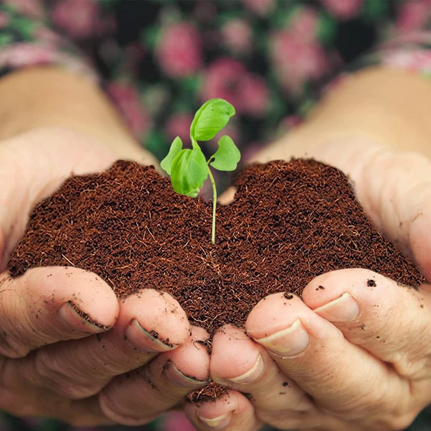 Home and Country USA Coconut Fiber Compressed Coco Coir Brick. Great to use as a Compost Starter for Your Home Garden. Coco Coir Provides Organic Alternative to peat Moss for Plants. 10Lbs Per Block