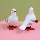 thumbnail image 2 of Figuras de plumas artificiales, decoración en miniatura, modelo educativo de paloma, ornamento, juguetes de cuerda, modelo Animal, Paloma, 4 Uds., 2 of 5