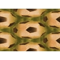 thumbnail image 1 of Ahgly Company Indoor Rectangle Patterned Dark Bronze Brown Area Rugs, 2' x 4', 1 of 6