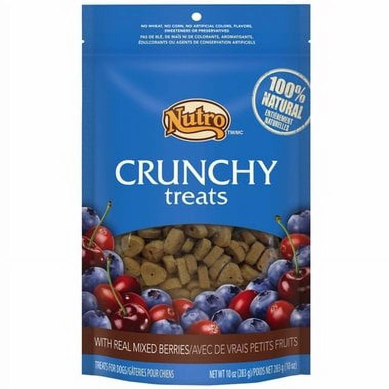Nutro Crunchy Dog Treats 2 Flavor Variety Bundle 1 Nutro Crunchy Dog Treats and Walmart