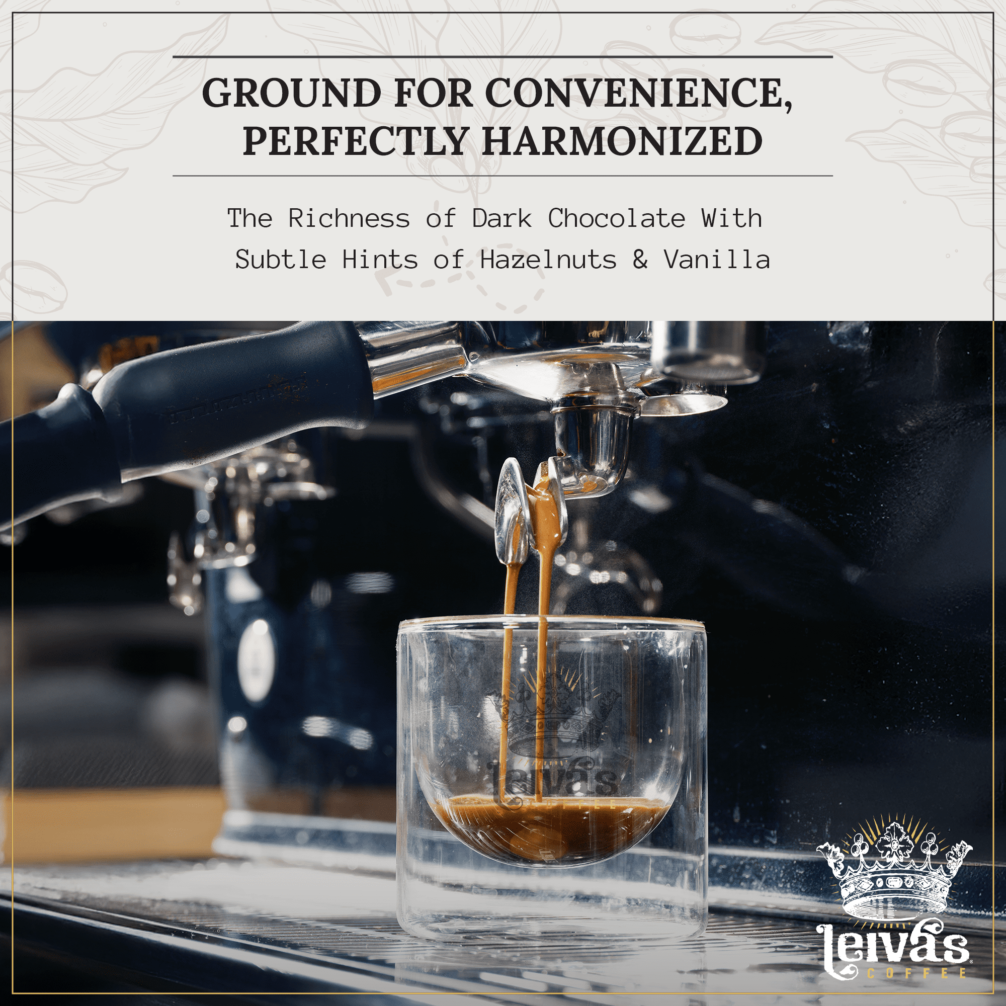 Leivas Medium Roast Whole Bean Coffee (8 Oz) - Roasted to Order, Single Origin Guatemalan Beans - Abuela Reina Whole Beans w/ Vanilla, Blueberries & Chocolate Notes - Low Acidity Roast 2 Pack