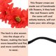 thumbnail image 4 of Paquete de 2 coronas de girasol, corona bohemia, diadema de girasol, accesorio para el cabello con flores (arcoíris), 4 of 5