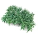 thumbnail image 4 of Hojas trituradas en forma de espada,Mini modelo de hierba,Accesorios de micro paisaje,Partes del modelo de plantas de simulación,Suministros de decoración de modelos de paisaje, 4 of 9