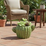 Streamline Imagined Cactus Planter