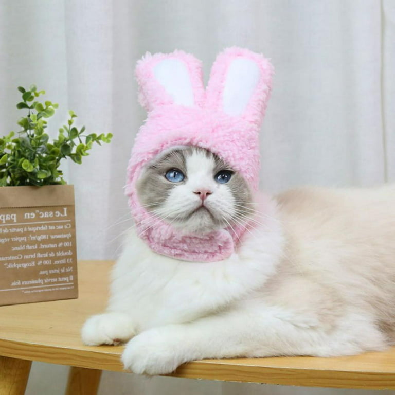Pink Bunny Ears Hat 