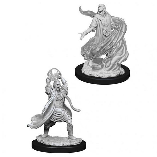 dnd sorcerer miniature