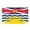 Yellow - 60x90cm, variant on British Columbia Provincial Flag 2x3ft Options Double Sided Fade Resistant Polyester Flag with Brass Grommets for Outdoor Yard Garden Patriotic Display