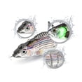 thumbnail image 2 of Señuelo de pesca recargable de múltiples secciones, LED verde luminoso, cebo duro de simulación, cebo de natación, hélice eléctrica Luya de múltiples secciones, pez, 2 of 6