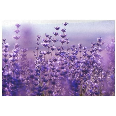 

ECZJNT Purple Lavender Flowers Field Placemat Plate Holder Set of 2 Summer Floral Table Mats Protector 12x18 inch