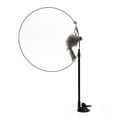 thumbnail image 2 of <p>Interactive Cat Feather Wand With Suction Cup Suction Cup Teaser Wand Toy Handheld Teaser Wand With Suction Cup Funny Cat Stick Toy Cat Toys Funny Cat Feather Stick Interactive, 2 of 7
